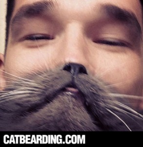 cat beard