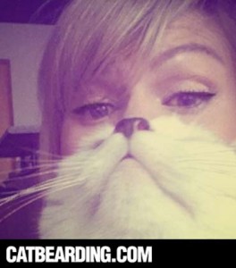 cat beard