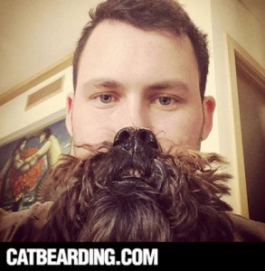 dog beard