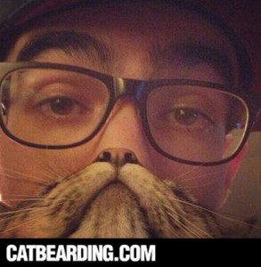 cat beard