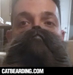 cat beard